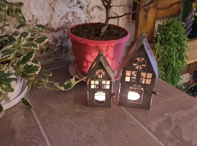 Secret Garden House Case de vacanță