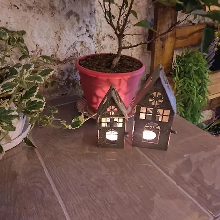 Secret Garden House Dom wakacyjny